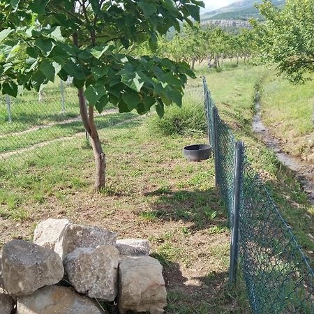 Stone House Vlasta Drniš Dış mekan fotoğraf